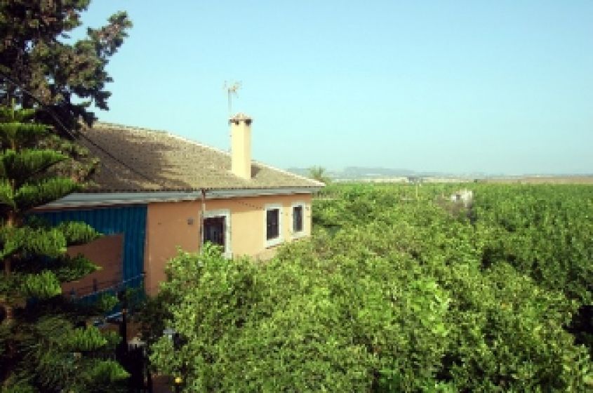 1890 - Продаётся поместье (Finca) - Лос Монтесинос - Коста Бланка